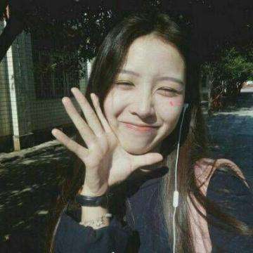 香港最准资料免费公开手机app下载