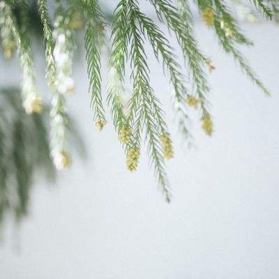 江南app下载官网