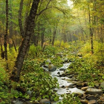 BET9官方APP下载-登录入口截图