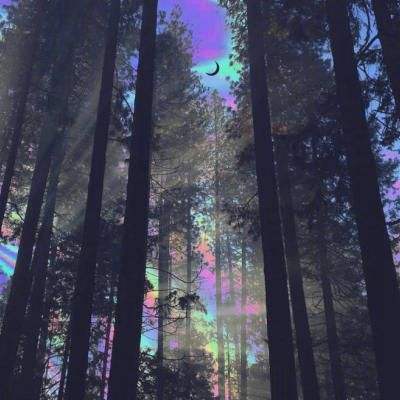 狗万manbetapp下载