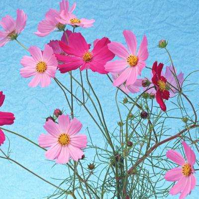 博鱼·体育中国入口下载手机版