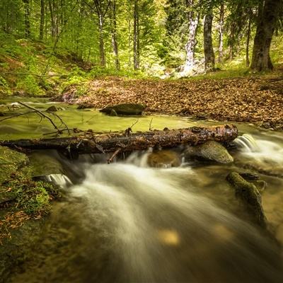 Bsport·体育截图